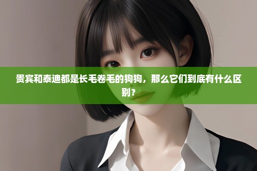 贵宾和泰迪都是长毛卷毛的狗狗，那么它们到底有什么区别？