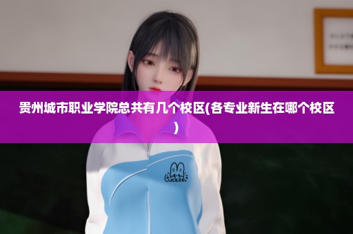 贵州城市职业学院总共有几个校区(各专业新生在哪个校区)