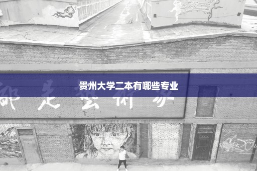 贵州大学二本有哪些专业