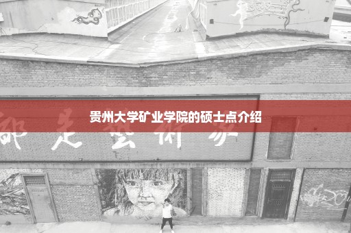 贵州大学矿业学院的硕士点介绍