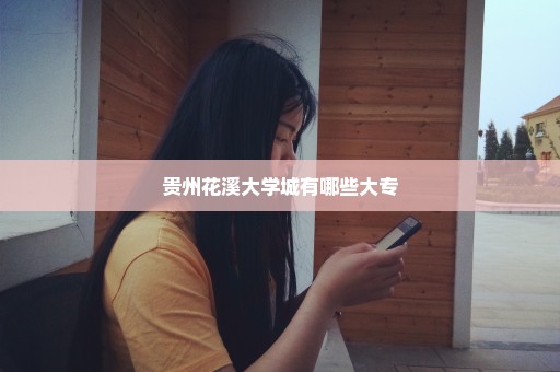 贵州花溪大学城有哪些大专
