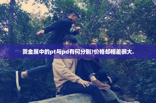 贵金属中的pt与pd有何分别?价格却相差很大.