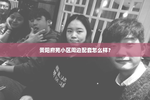贵阳府苑小区周边配套怎么样？