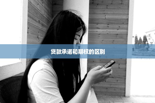 贷款承诺和期权的区别