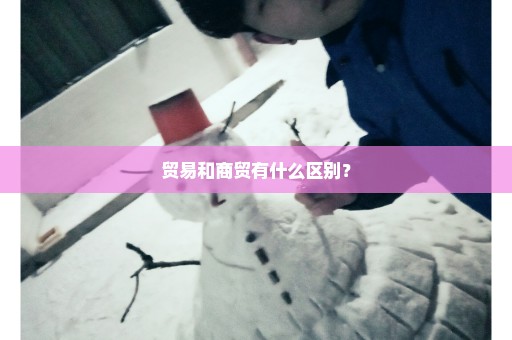 贸易和商贸有什么区别？