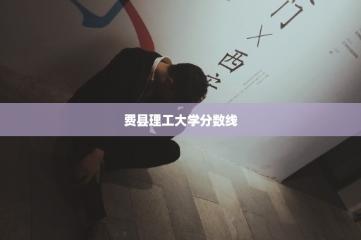 费县理工大学分数线