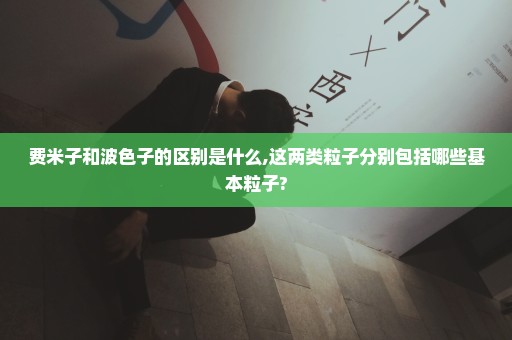 费米子和波色子的区别是什么,这两类粒子分别包括哪些基本粒子?
