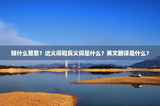贼什么意思？近义词和反义词是什么？英文翻译是什么？