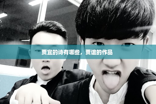贾宜的诗有哪些，贾谊的作品 