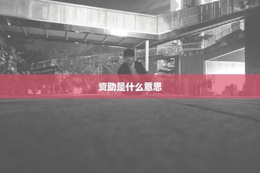资助是什么意思