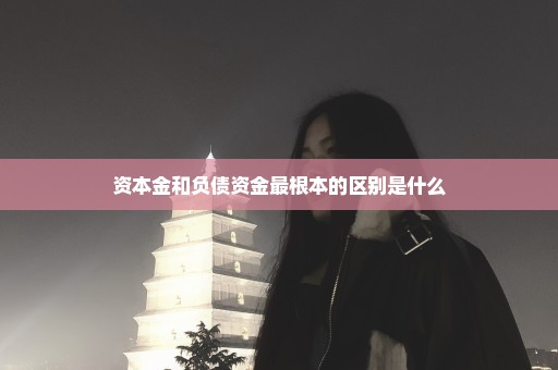 资本金和负债资金最根本的区别是什么