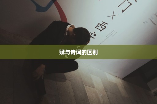 赋与诗词的区别