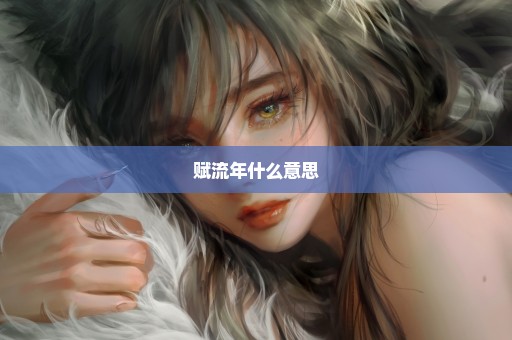赋流年什么意思