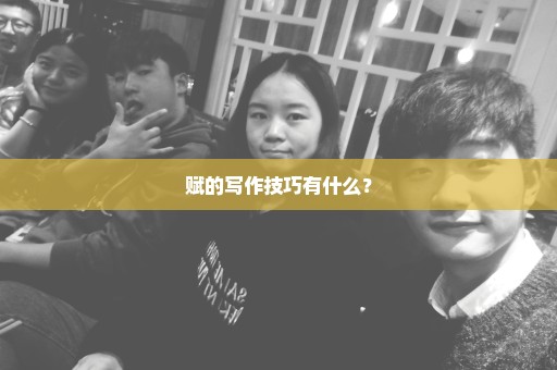 赋的写作技巧有什么？