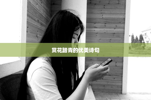 赏花踏青的优美诗句