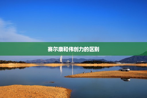 赛尔康和伟创力的区别