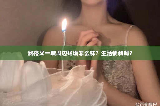 赛格又一城周边环境怎么样？生活便利吗？