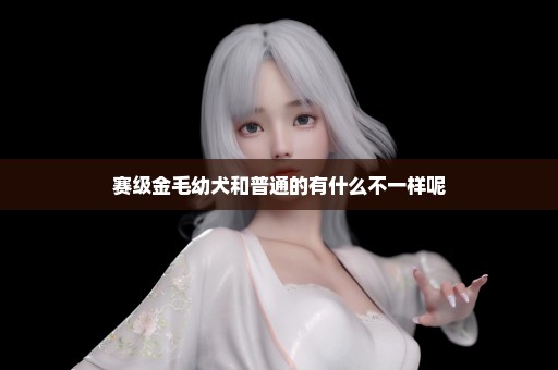 赛级金毛幼犬和普通的有什么不一样呢