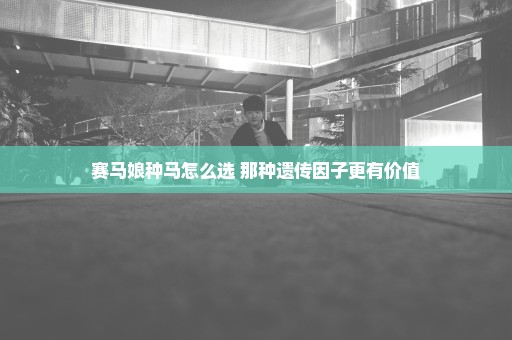 赛马娘种马怎么选 那种遗传因子更有价值