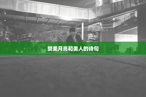 赞美月亮和美人的诗句