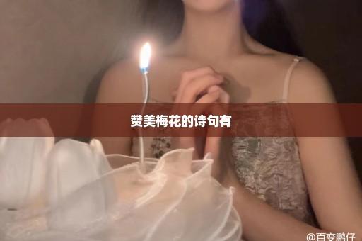 赞美梅花的诗句有