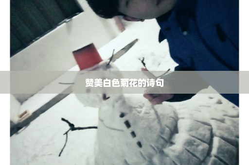 赞美白色菊花的诗句