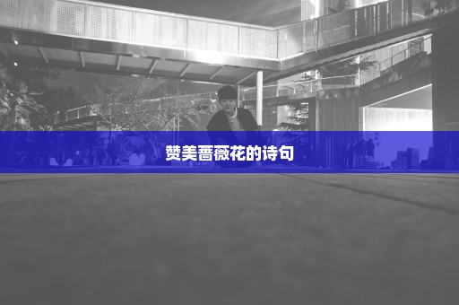 赞美蔷薇花的诗句