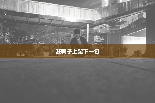 赶鸭子上架下一句