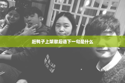 赶鸭子上架歇后语下一句是什么