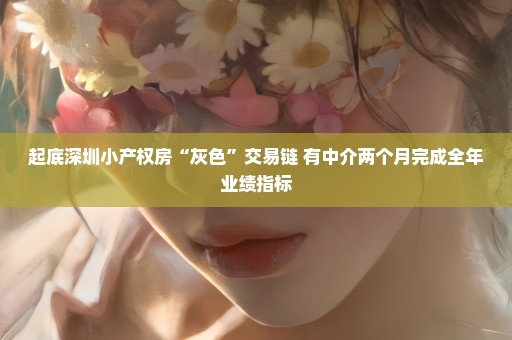 起底深圳小产权房“灰色”交易链 有中介两个月完成全年业绩指标