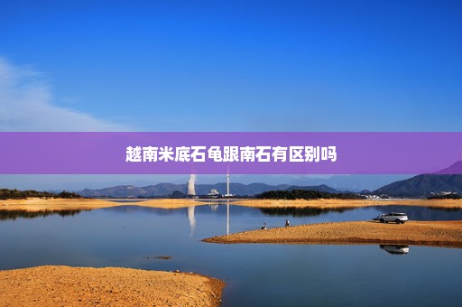 越南米底石龟跟南石有区别吗