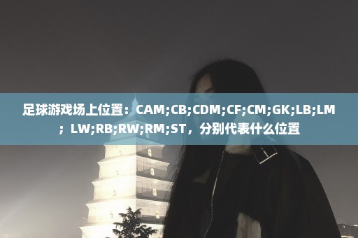 足球游戏场上位置：CAM;CB;CDM;CF;CM;GK;LB;LM；LW;RB;RW;RM;ST，分别代表什么位置