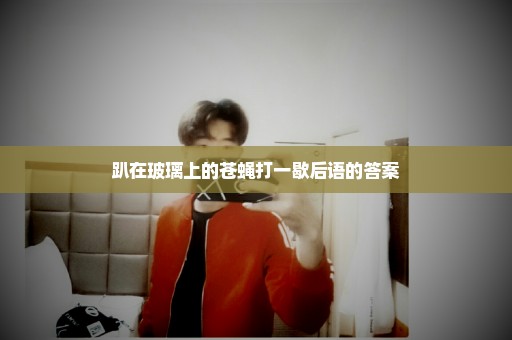 趴在玻璃上的苍蝇打一歇后语的答案
