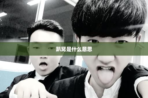 趴窝是什么意思