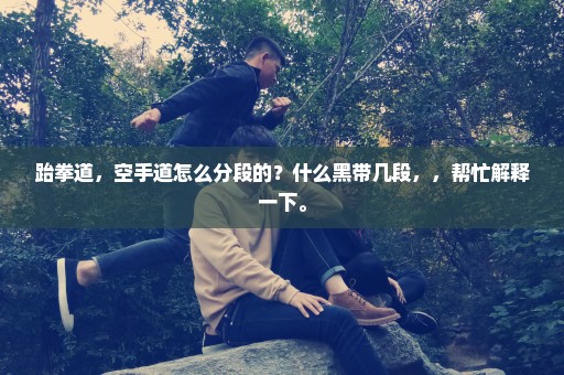 跆拳道，空手道怎么分段的？什么黑带几段，，帮忙解释一下。