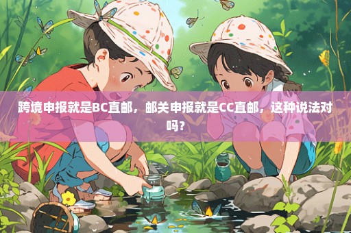 跨境申报就是BC直邮，邮关申报就是CC直邮，这种说法对吗？