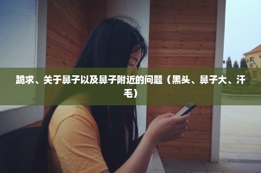 跪求、关于鼻子以及鼻子附近的问题（黑头、鼻子大、汗毛）