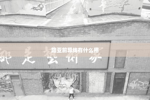 路亚前导线有什么用