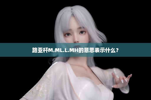 路亚杆M.ML.L.MH的意思表示什么？