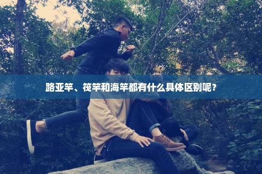 路亚竿、筏竿和海竿都有什么具体区别呢？