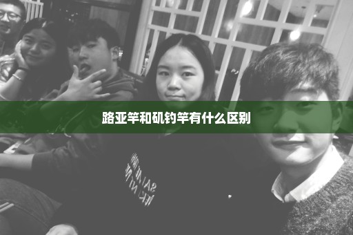 路亚竿和矶钓竿有什么区别