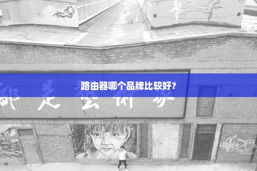 路由器哪个品牌比较好？