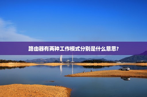 路由器有两种工作模式分别是什么意思?