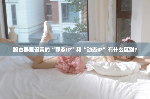 路由器里设置的“静态IP”和“动态IP”有什么区别？