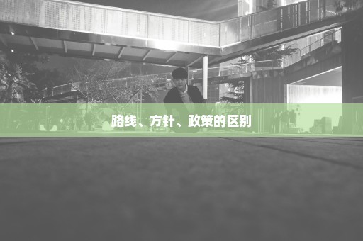路线、方针、政策的区别