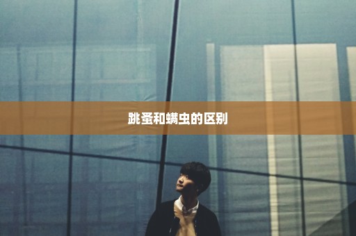 跳蚤和螨虫的区别