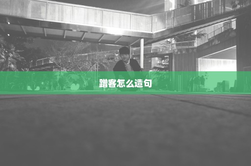蹭客怎么造句