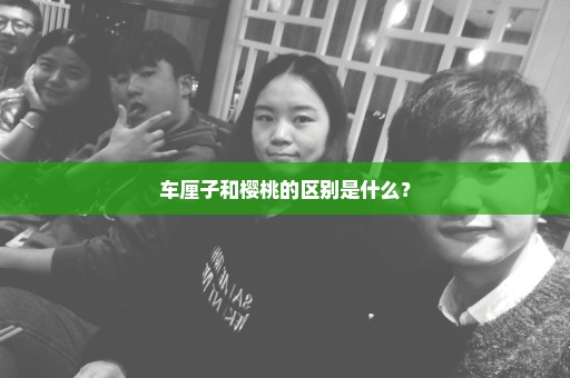车厘子和樱桃的区别是什么？