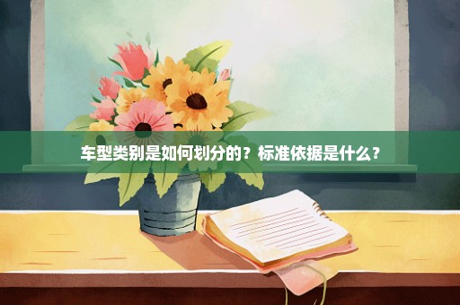 车型类别是如何划分的？标准依据是什么？