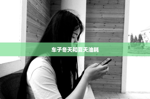 车子冬天和夏天油耗